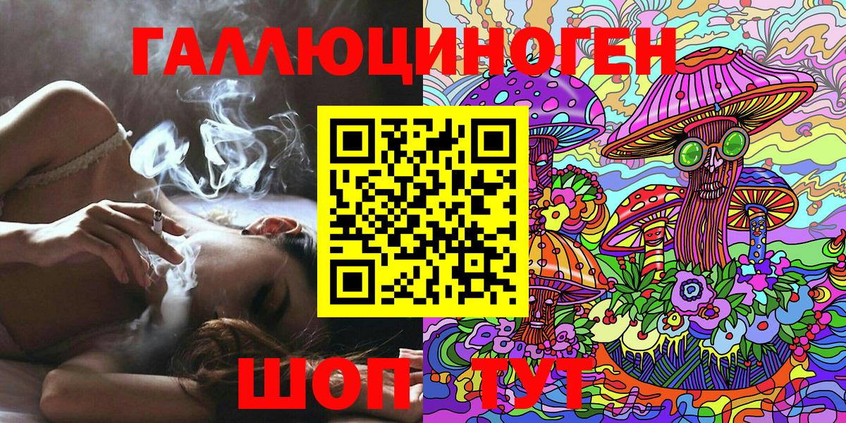 Галлюциногенные грибы Psilocybine cubensis Севастополь