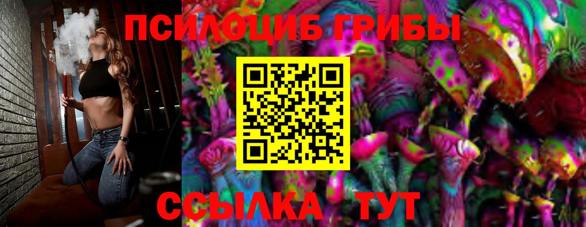 Севастополь  Галлюциногенные грибы Cubensis  Вход с VPN 
